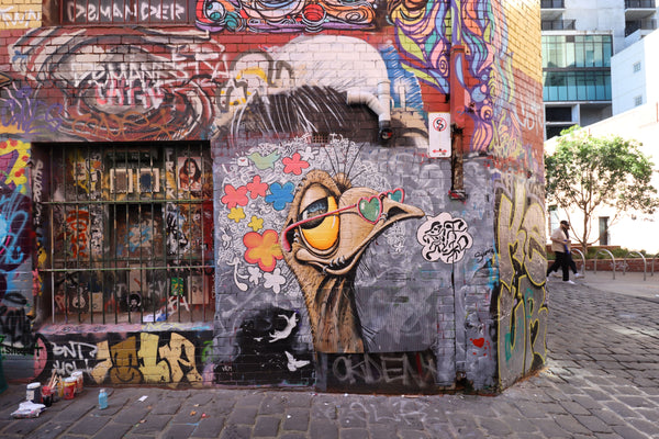 Inside of emu brain!!